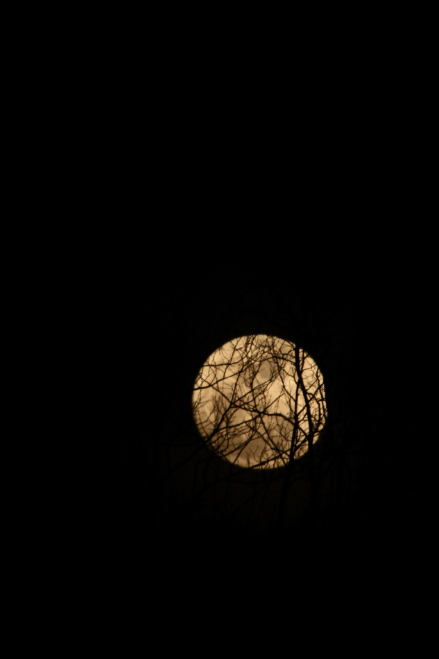 2012 03 07 8452